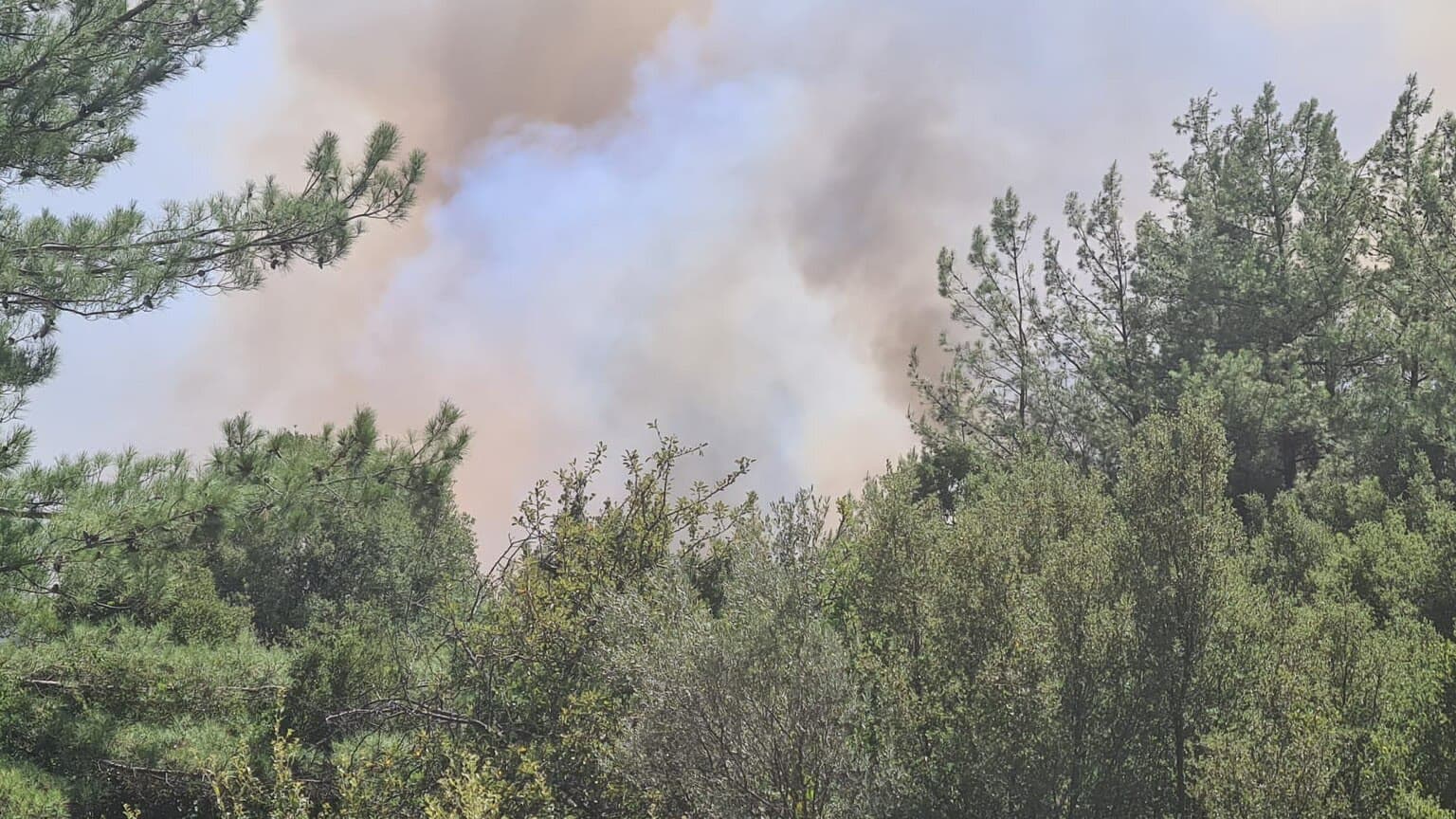 Akbaş ve Çayköy yangınları kasten çıkarılmış: 6 gözaltı