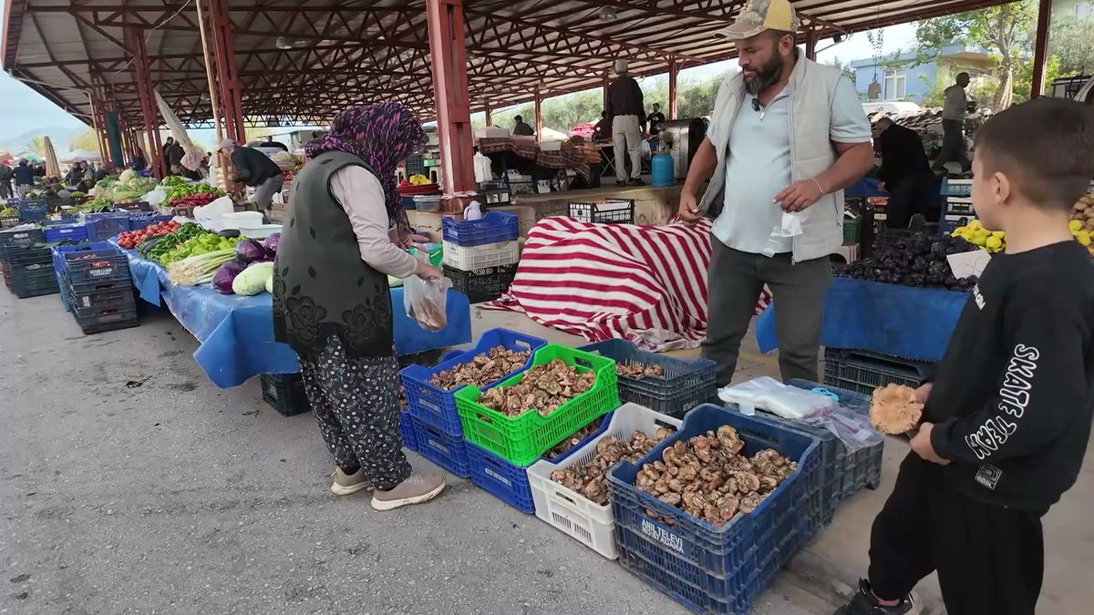 Serik Cuma Pazarı'nda kasalarda satılan çıntar mantarı